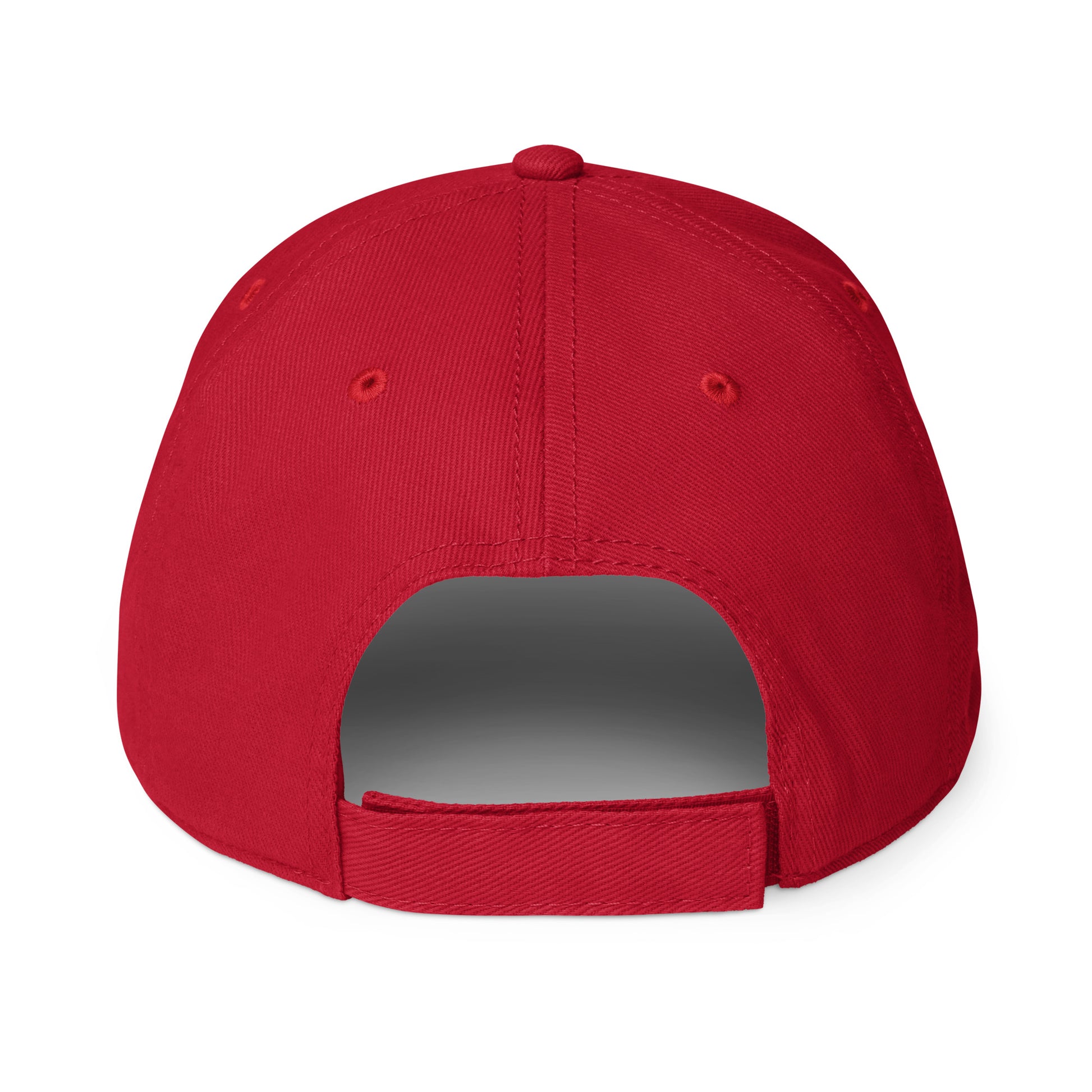 Dasher Store Dash Driver Low-profile baseball cap – The Silver Dasher Store | Gear ...